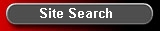 Site Search