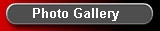 Photo Gallery